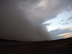 Соцсети заполонили посты о пылевом облаке из Сахары, которое движется в Украину. Что происходит