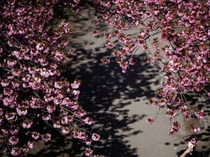 Укргидрометцентр предупредил об опасности в столичном регионе