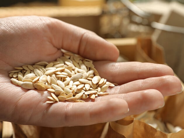 Как обеззаразить и закалить семена огурцов. Советы для стойкости плодов к болезням