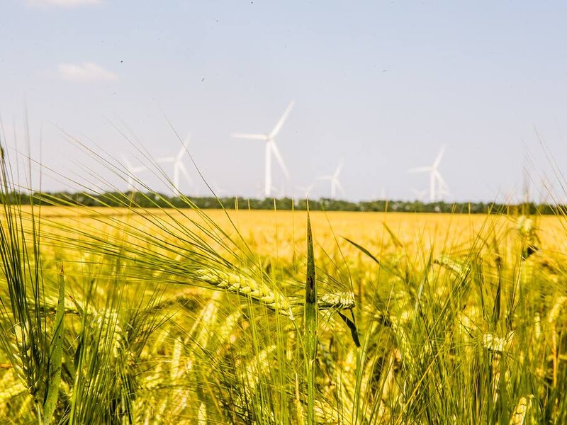 ДТЕК будує в Полтавській області найбільшу в Європі вітрову електростанцію за €1,2 млрд