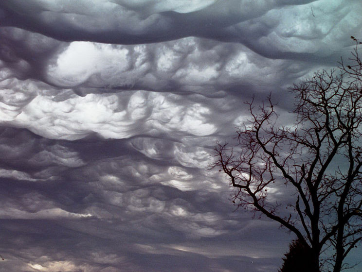 Метеорологи офіційно визнали хмари "судного дня". Відео
