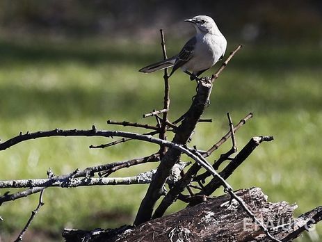 В Украине 2 апреля ожидается потепление до +23°