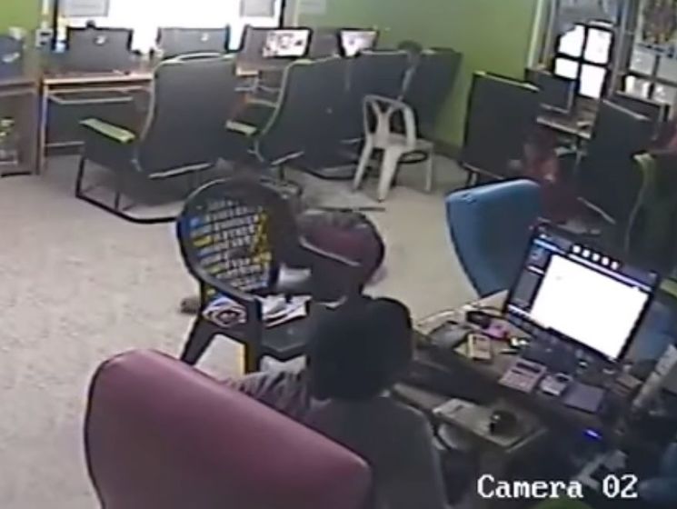 В Таиланде змея "влетела" в интернет-кафе и укусила мужчину. Видео
