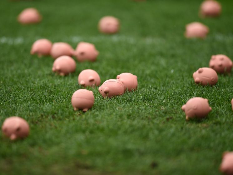 Британські вболівальники закидали поле пластмасовими свинками