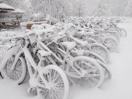 Україну накрило квітневим снігом. Фоторепортаж