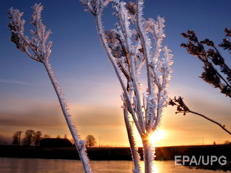 Синоптики предупреждают о заморозках в Украине