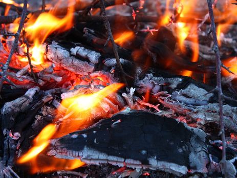 В Запорожской области молодые люди бросили в костер неизвестный предмет и после взрыва попали в больницу