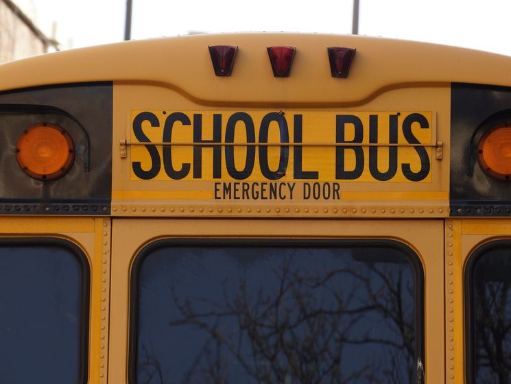 У США шкільний автобус урізався в дерево через оленя, який вибіг на дорогу 