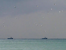 Унаслідок аварії російського судна в Чорному морі зникли 15 військових РФ – ЗМІ