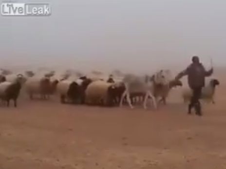 Блогер показал 