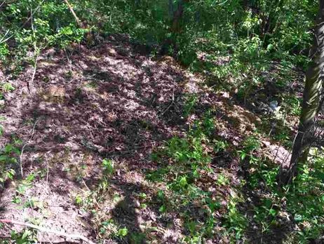 В Кировоградской области нашли тело военнослужащего. Подозреваемый в убийстве задержан – полиция