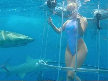 Актрису во время подводной съемки укусила акула. Видео