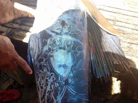 На Філіппінах упіймали рибу з татуюванням