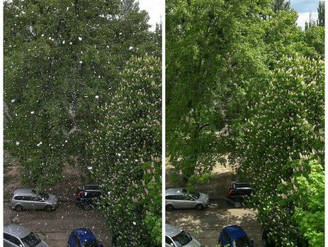 В Киеве прошел снег. Видео