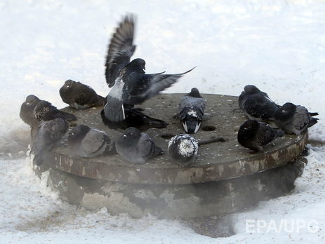 В Украине ночью похолодает до 0ºС