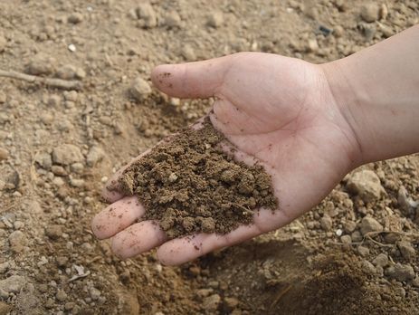 Україна відновила мита на російські азотні добрива – Мінекономрозвитку