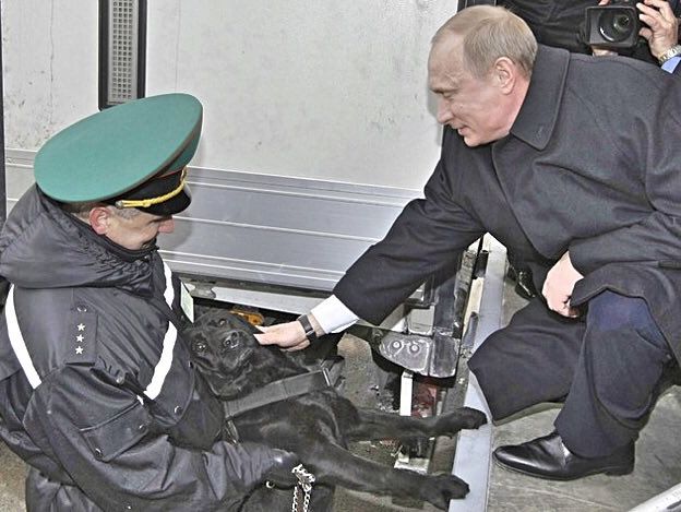 Пес пограничников недовольно отреагировал на прикосновение Путина