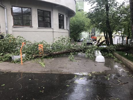 У Москві під час урагану загинули 11 осіб