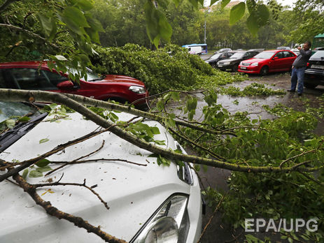 Число жертв урагана в Москве и области достигло 16