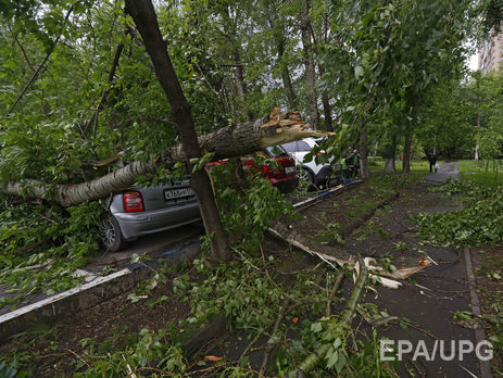 Один из погибших при урагане в Подмосковье – гражданин Украины