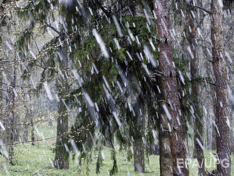 В Москве выпал снег