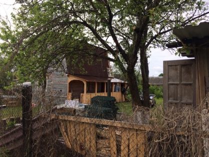 Свидетельница массового убийства в РФ: Там есть трупы, у которых пол-лица нет. Сразу убил семейную пару, потом 92-летнюю бабушку