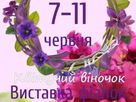В Киеве пройдет выставка фиалок