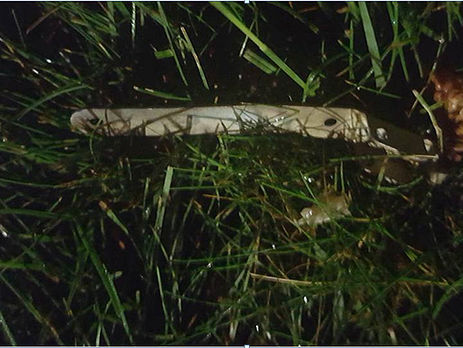 МИД осуждает теракт на территории посольства США в Киеве