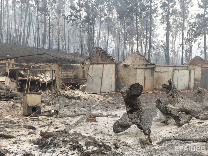 Жительница португальского села спасла от пожара родственников и соседей, укрыв их от огня в баке с водой