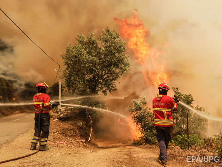 ﻿Португальські пожежники підозрюють, що причиною масових загорянь лісу був підпал