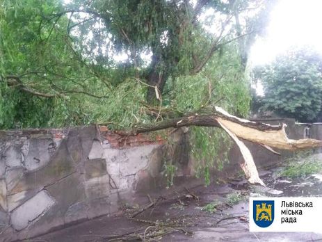 Буря во Львове ломала деревья и срывала крыши. Фоторепортаж