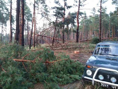 В Украине из-за непогоды без электричества остались 86 населенных пунктов, погиб один человек – ГСЧС