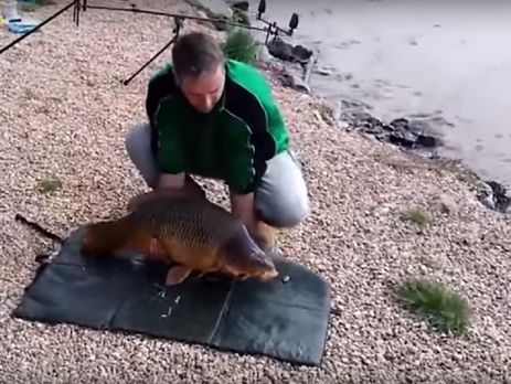 ﻿Короп утік від рибалки, коли той намагався сфотографуватися. Відео
