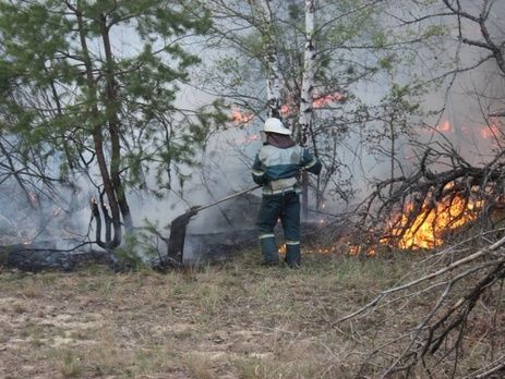 В Чернобыле горит лес