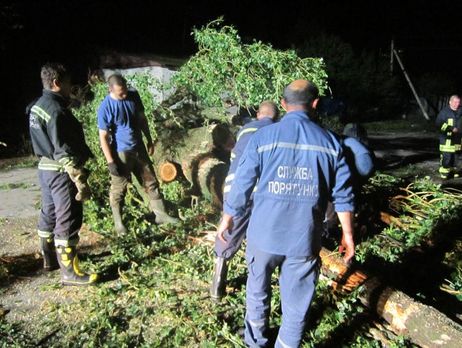 1 июля ветер в Украине повалил 640 деревьев