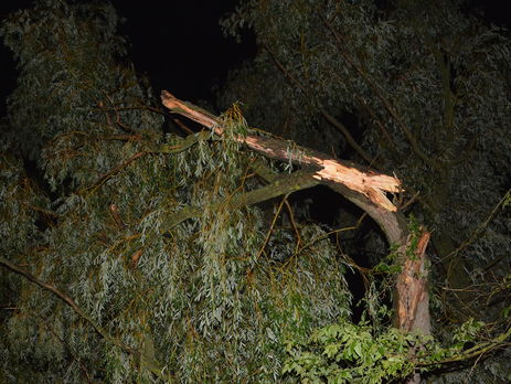 От урагана в Черкасской области пострадали 48 человек – ГСЧС