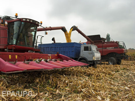 Из меморандума МВФ исключат вопрос о необходимости открытия рынка земли – СМИ