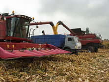 Из меморандума МВФ исключат вопрос о необходимости открытия рынка земли – СМИ