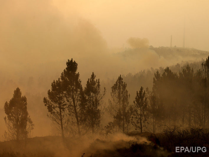 ﻿Пожежі в Португалії у 2017 році знищили понад 60 тис. га лісу
