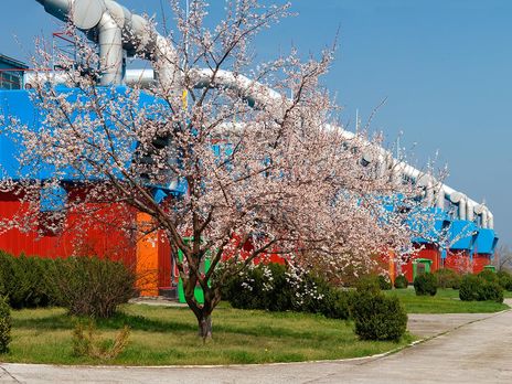 Замглавы Минэнерго заявил, что новый оператор украинской ГТС полноценно заработает не ранее 2018 года