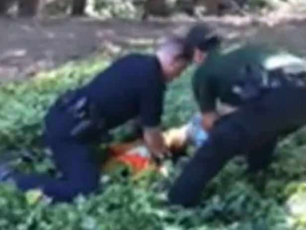 Полицейские в Калифорнии спасли медвежонка, который застрял головой в кувшине. Видео