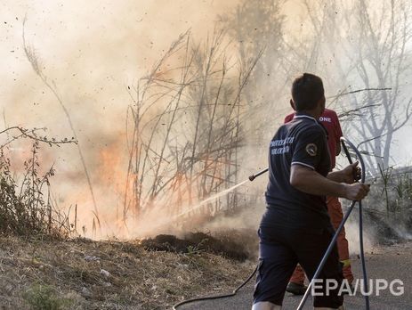 ﻿В Італії жертвами лісових пожеж стало двоє фермерів