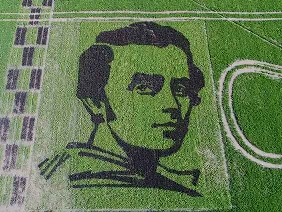 ﻿У Херсонській області вчені виростили "рисовий" портрет Шевченка й встановили рекорд