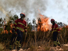 В Португалии из-за пожаров закрыты дороги, жителей центральной части страны эвакуируют. Фоторепортаж