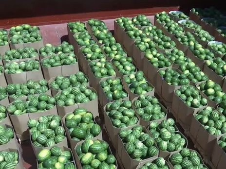 Из Херсонской области в Киев впервые за 14 лет отправят баржу с арбузами