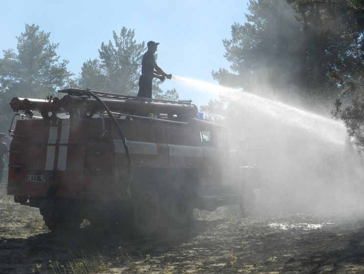 ﻿У Херсонській області сталося дві лісові пожежі