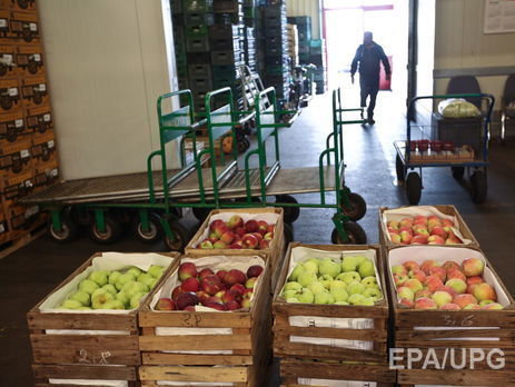 В Россельхознадзоре заявили, что за два года уничтожили около 17 тыс. тонн санкционной продукции