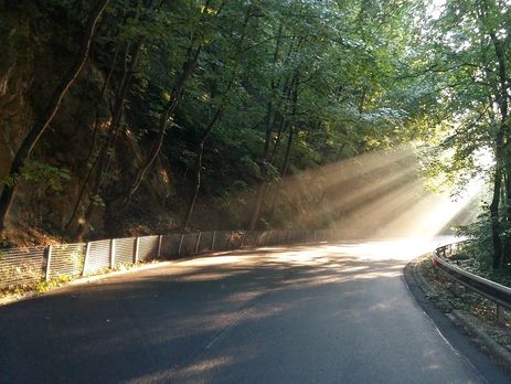 В Польше перевернулся автобус с 85 пассажирами, украинцев среди пострадавших нет