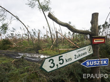 На севере Польши буря повалила деревья и стала причиной смерти пяти человек. Видео