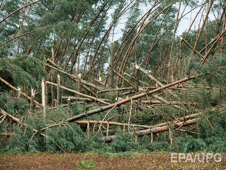 ﻿У Польщі через урагани загинуло шестеро людей, десятки постраждали